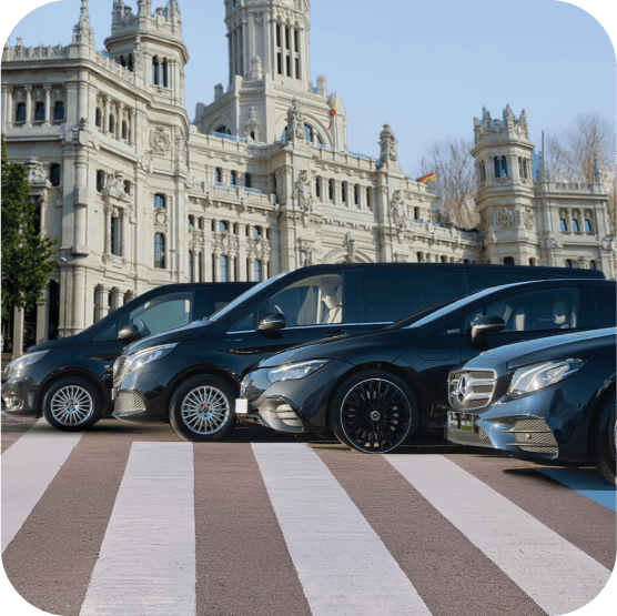 Esteban Rivas | Transporte, movilidad y almacenamiento